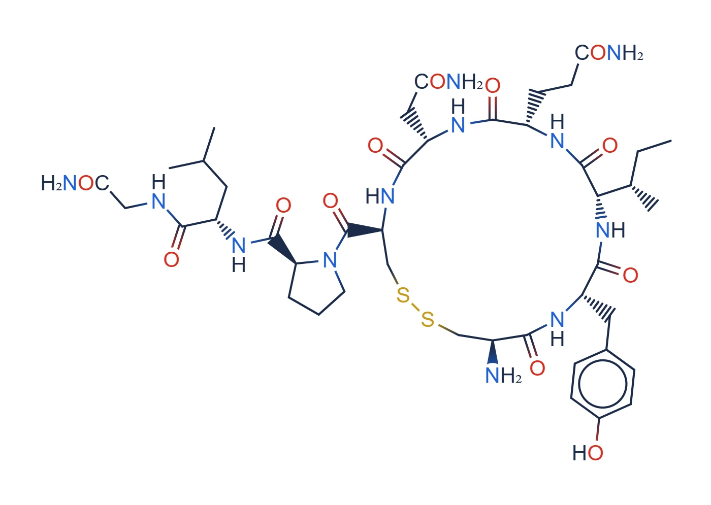 Chemical structure of Oxytocin (cyclic nonapeptide)